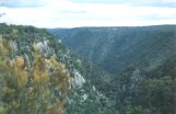 Metz Gorge below Bakers Creek Falls