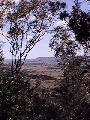 Bingara surrounds from the lookout