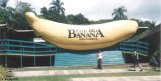 The Big Banana